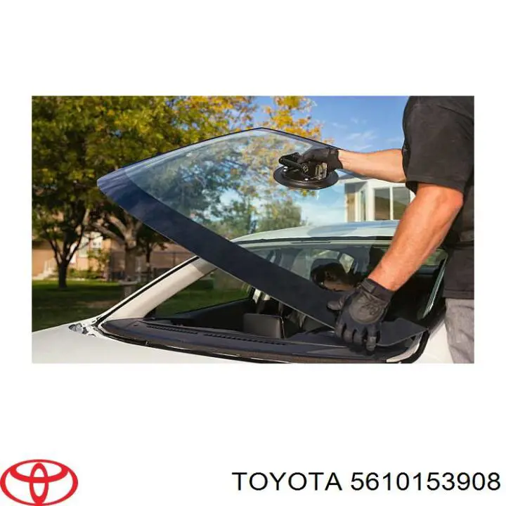 5610153908 Toyota Автостекло