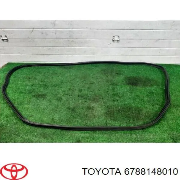 Уплотнитель багажника (двери 3/5-й задней) Toyota 6788148010 цена, от 10.81 USD