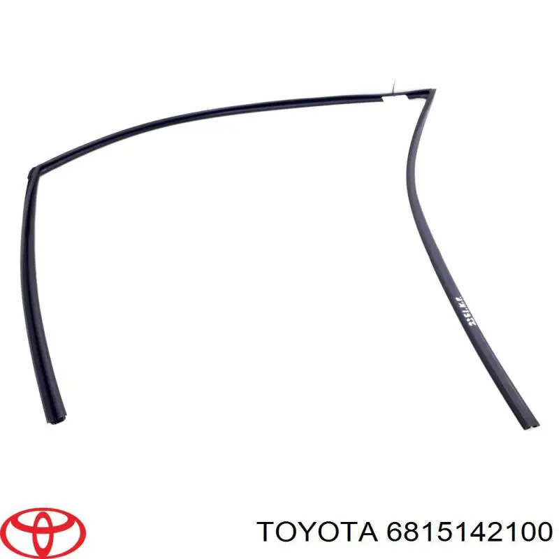 Guia de vidro de quadro da porta dianteira esquerda para Toyota RAV4 (A4)
