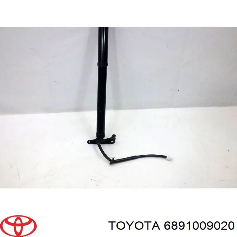 6891009020 Toyota 