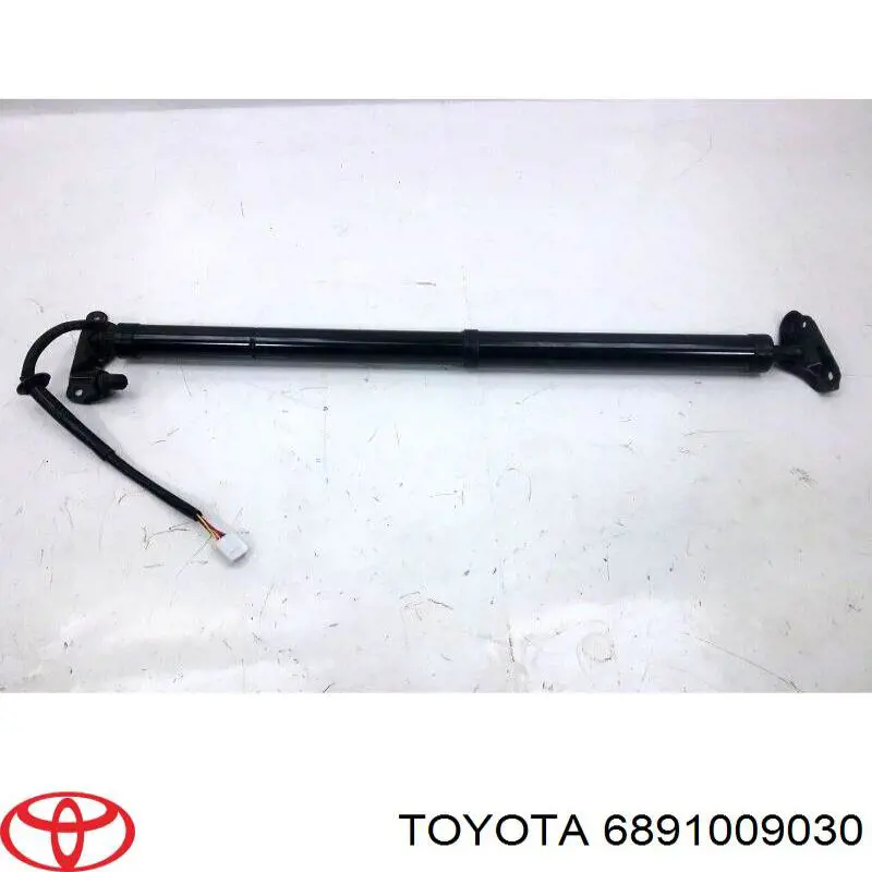  6891009030 Toyota