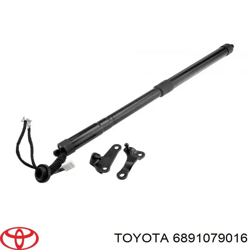 6891079016 Toyota amortecedor de tampa de porta-malas (de 3ª/5ª porta traseira)