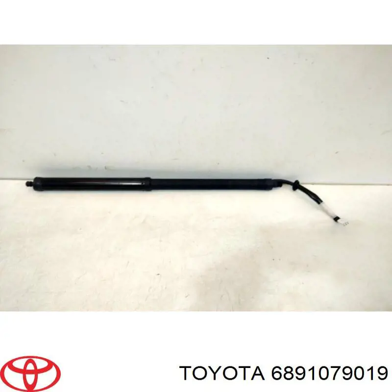 6891079019 Toyota 