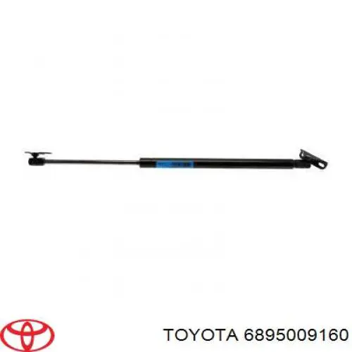  6895009160 Toyota