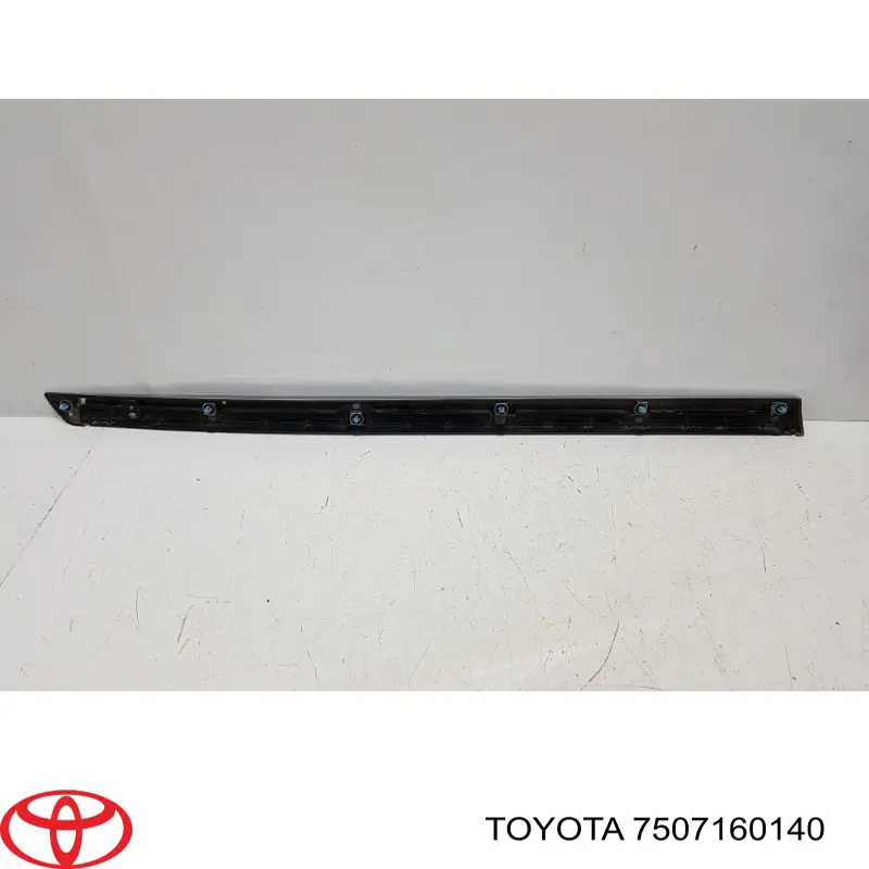 Moldura da porta dianteira direita para Toyota Land Cruiser (J200)