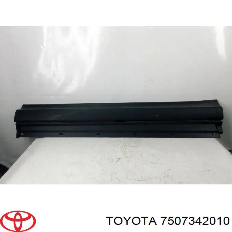 Moldura da porta dianteira direita para Toyota RAV4 (A4)