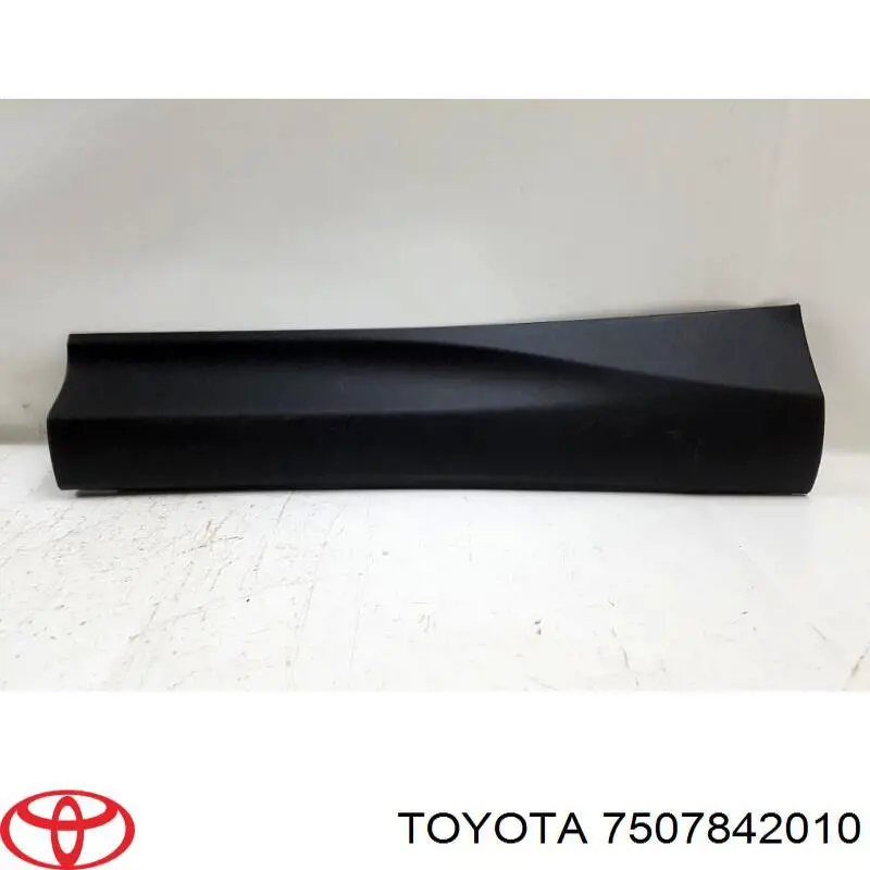 Moldura da porta traseira esquerda para Toyota RAV4 (A4)