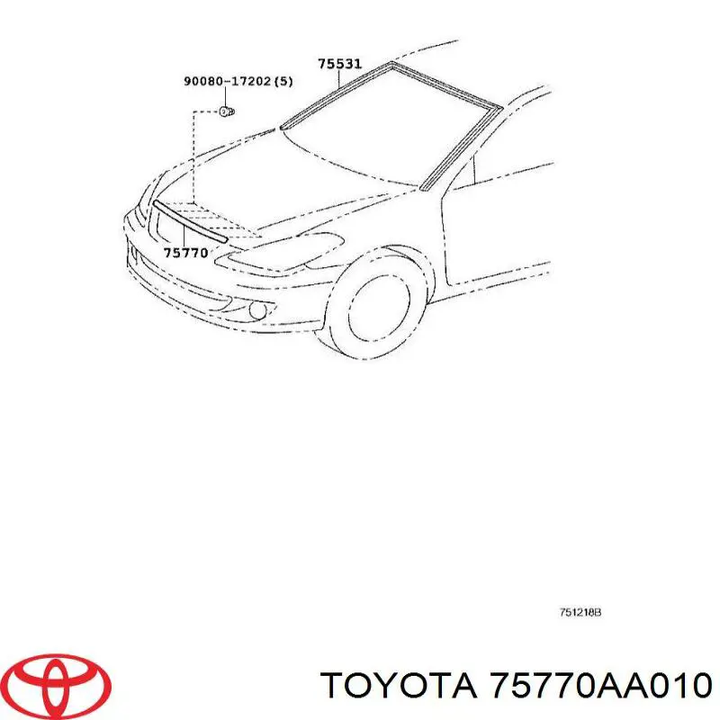Молдинг капота на Toyota Solara V3