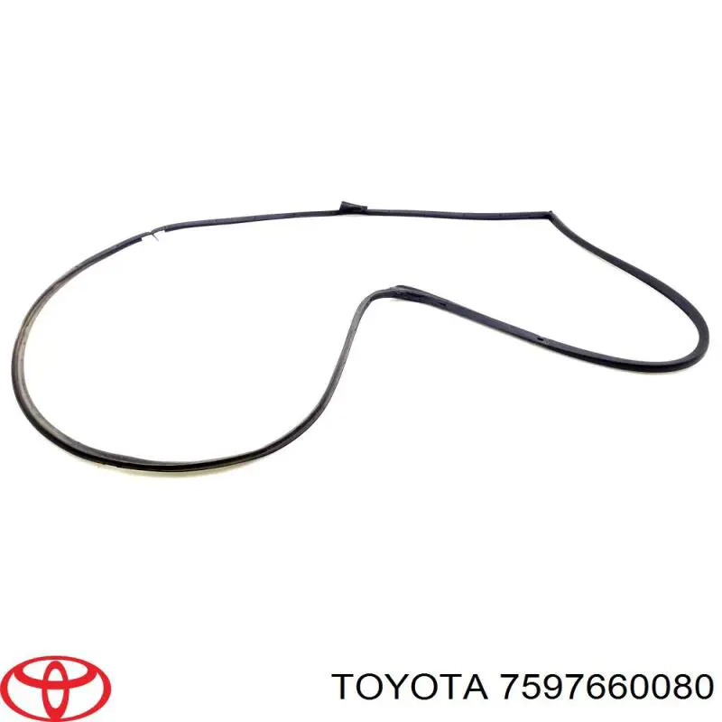 7597660080 Toyota 