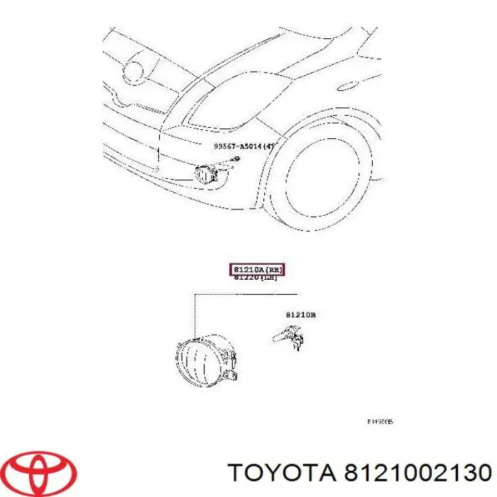 Luzes de nevoeiro direitas para Toyota Previa (ACR50)