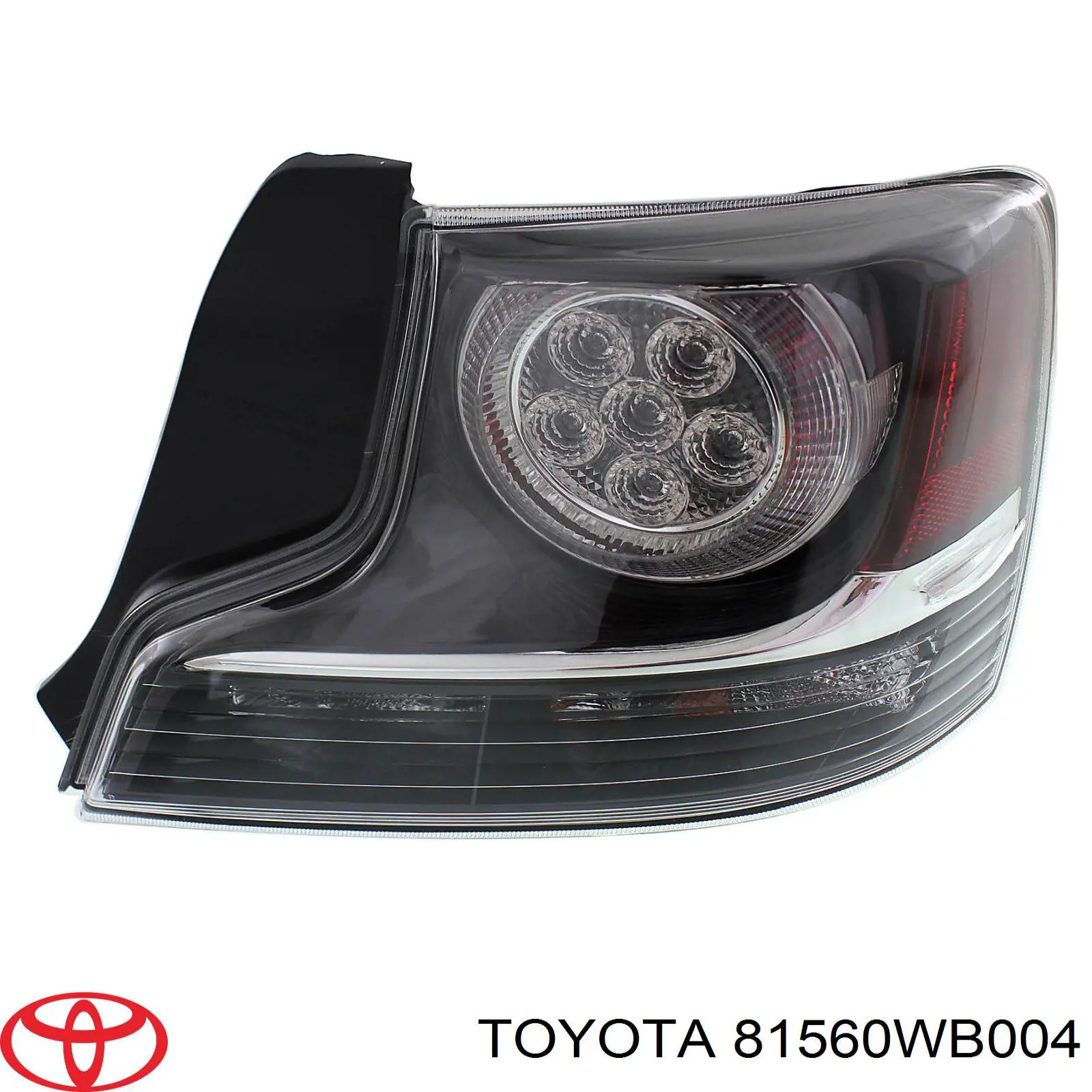 81560WB004 Toyota 