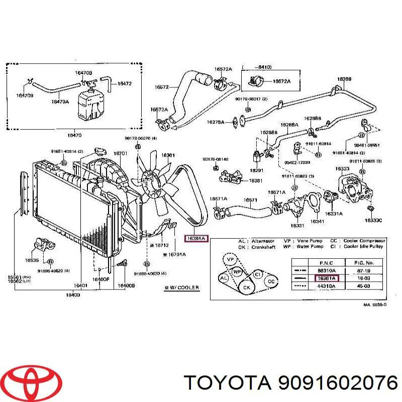 Correa trapezoidal 9091602076 Toyota