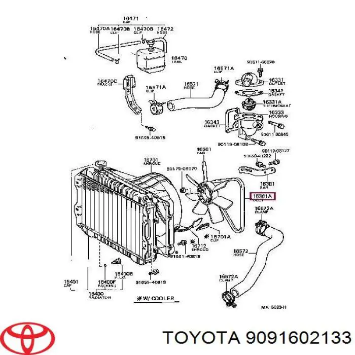 Correa trapezoidal 9091602133 Toyota