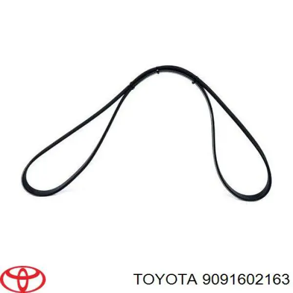 Correa trapezoidal 9091602163 Toyota