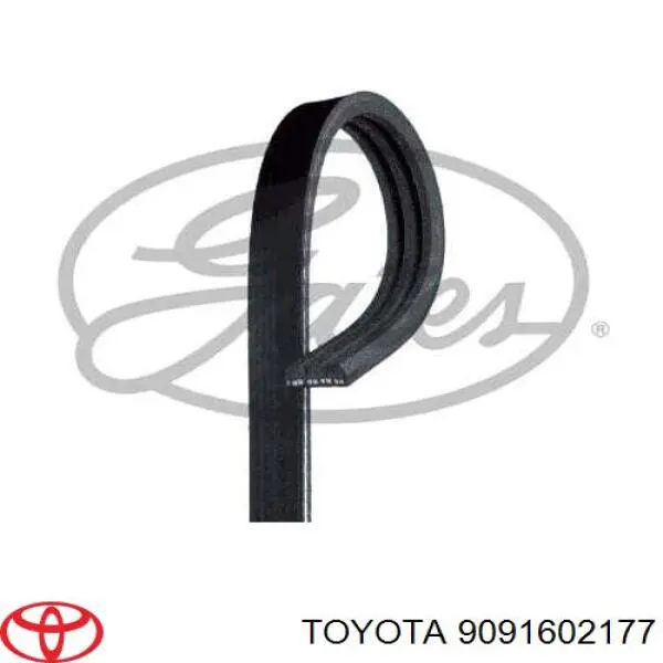 Correa trapezoidal 9091602177 Toyota