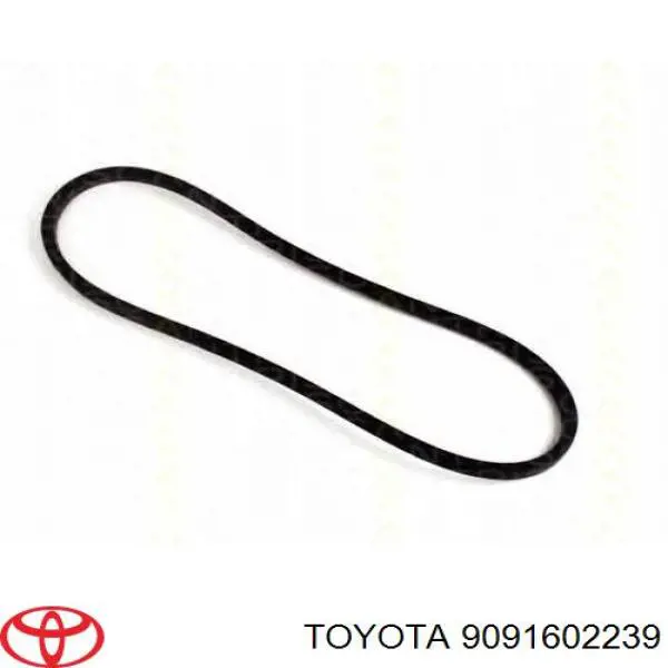 9934301235 Toyota correia dos conjuntos de transmissão