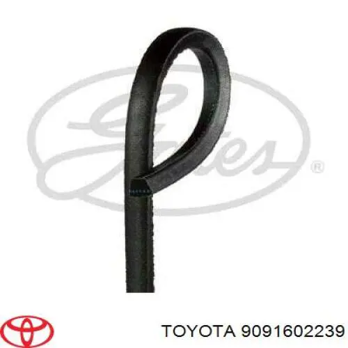 Клиновый ремень Toyota 9091602239 цена, от 17.47 USD