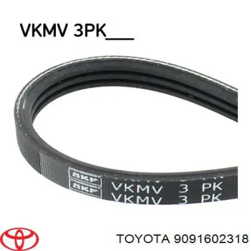 Correa trapezoidal 9091602318 Toyota