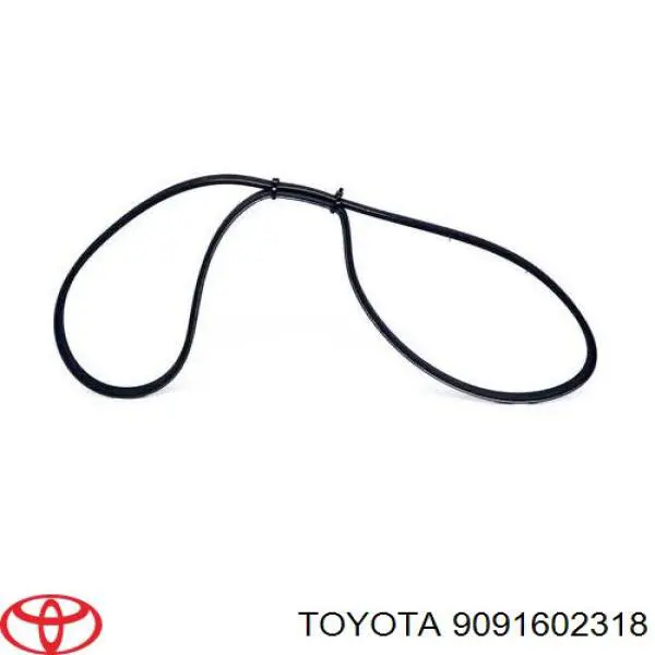 Ремень генератора 9091602318 Toyota