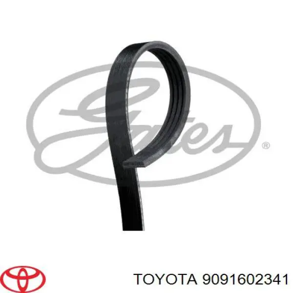 Correa trapezoidal 9091602341 Toyota