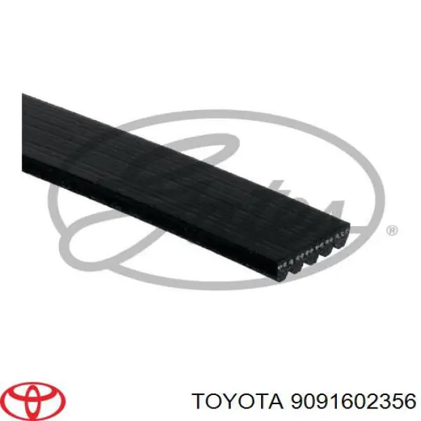 Correa trapezoidal 9091602356 Toyota