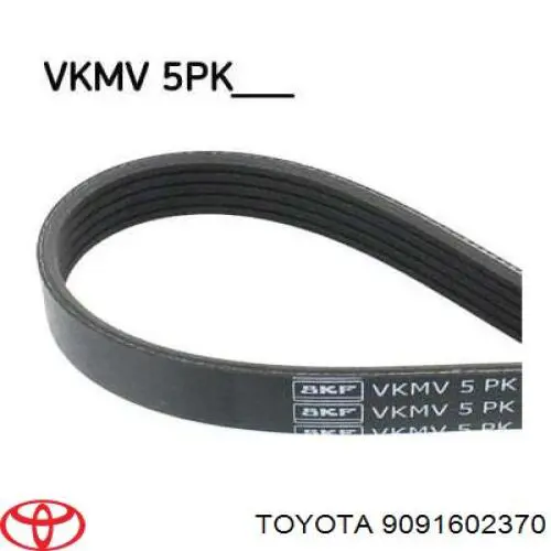 Клиновый ремень Toyota 9091602370 цена, от 9.00 USD