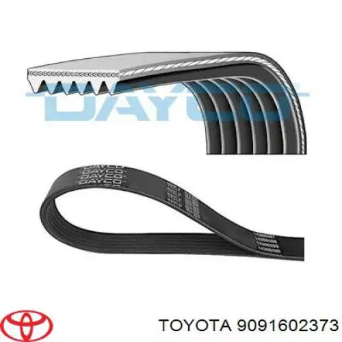 Ремень генератора 9091602373 Toyota