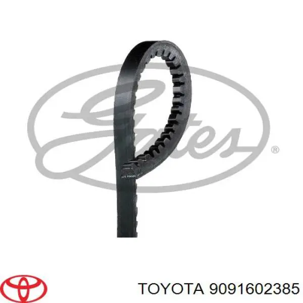 Correa trapezoidal 9091602385 Toyota