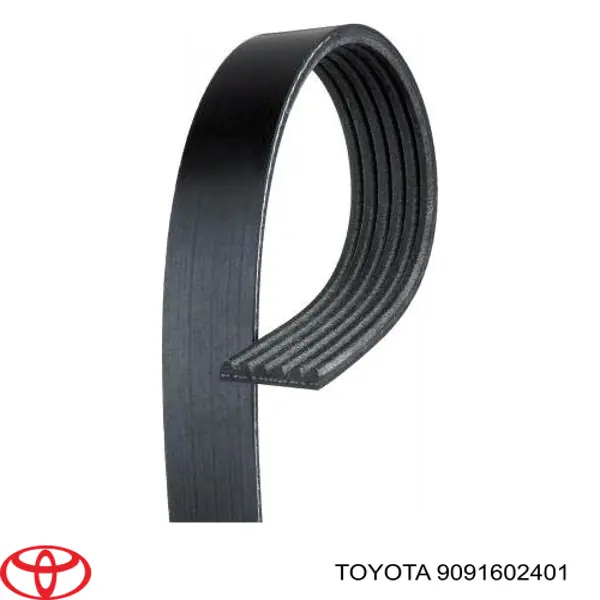 Correa trapezoidal 9091602401 Toyota