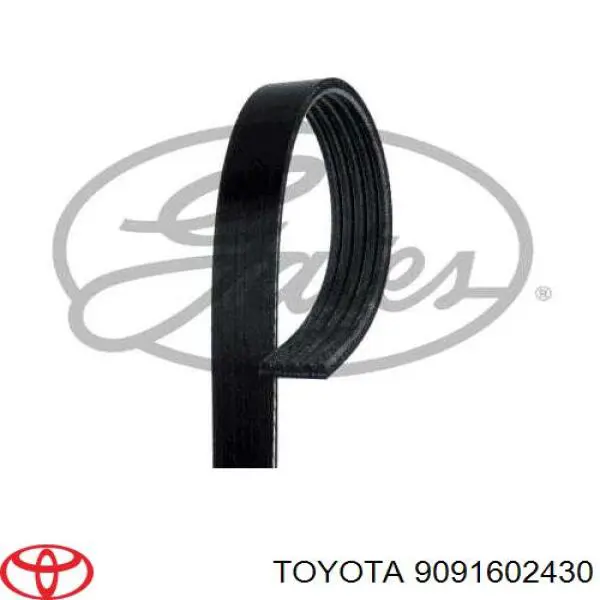 Ремень генератора 9091602430 Toyota