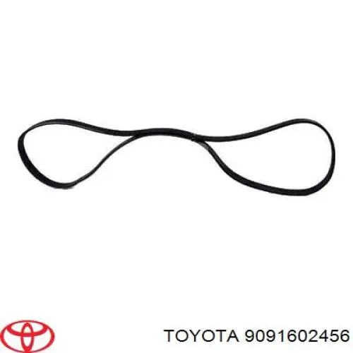 Correa trapezoidal 9091602456 Toyota