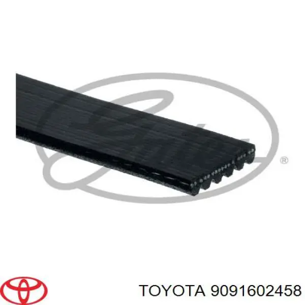 Correa trapezoidal 9091602458 Toyota