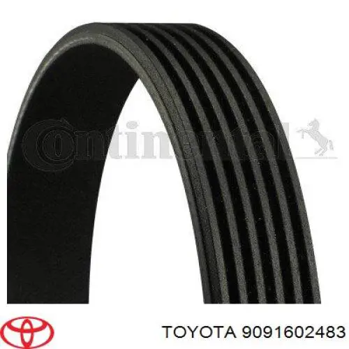 Correa trapezoidal 9091602483 Toyota