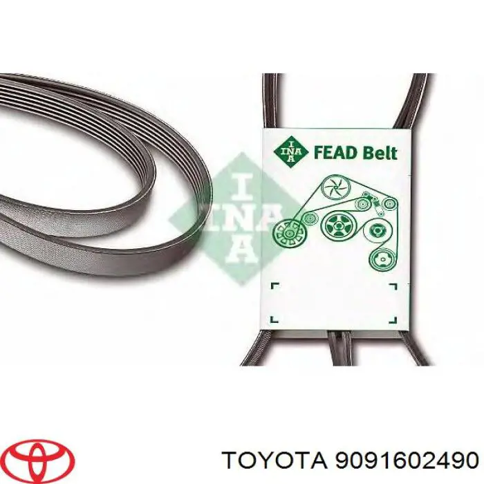 Correa trapezoidal 9091602490 Toyota