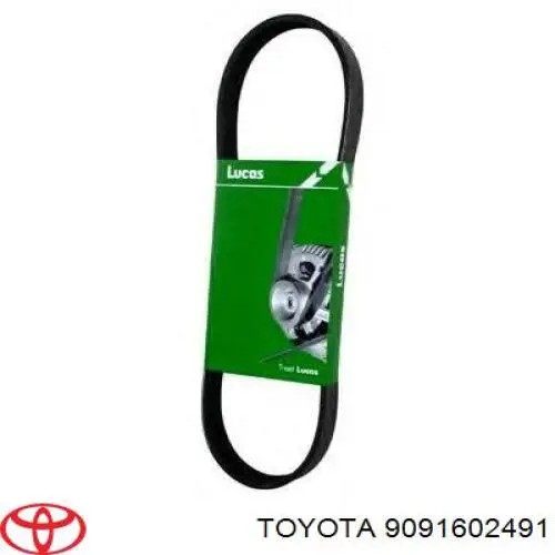 Ремень генератора 9091602491 Toyota
