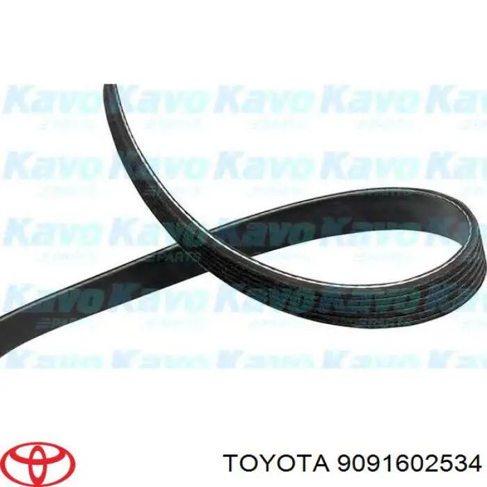 Ремень генератора 9091602534 Toyota