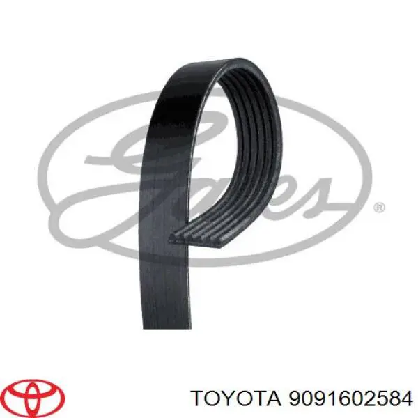 Correa trapezoidal 9091602584 Toyota