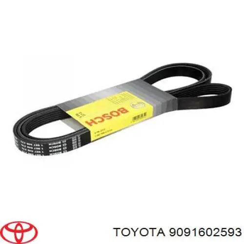 Клиновый ремень Toyota 9091602593 цена, от 18.65 USD