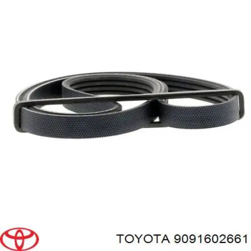 Клиновый ремень Toyota 9091602661 цена, от 4.08 USD