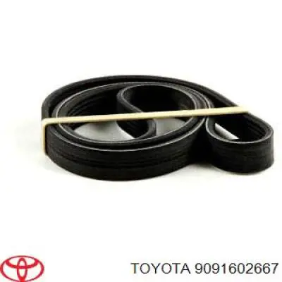 Ремень кондиционера Toyota 9091602667