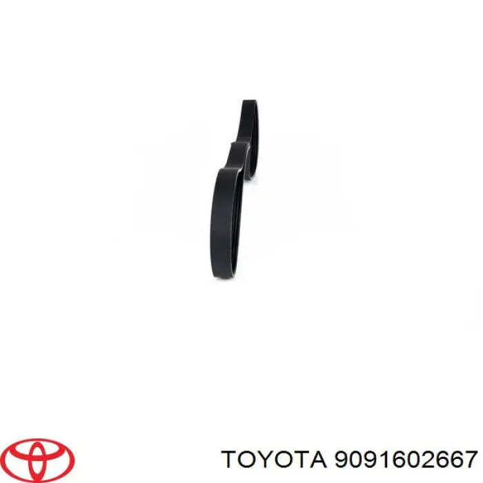 Ремень генератора 9091602667 Toyota