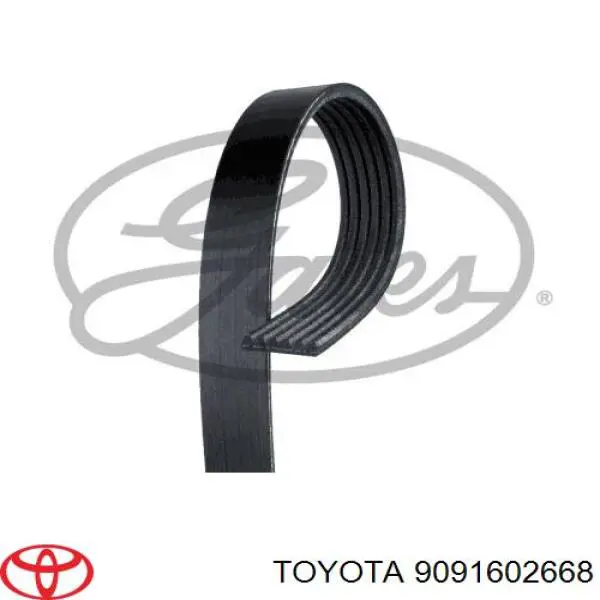 Клиновый ремень Toyota 9091602668 цена, от 33.22 USD