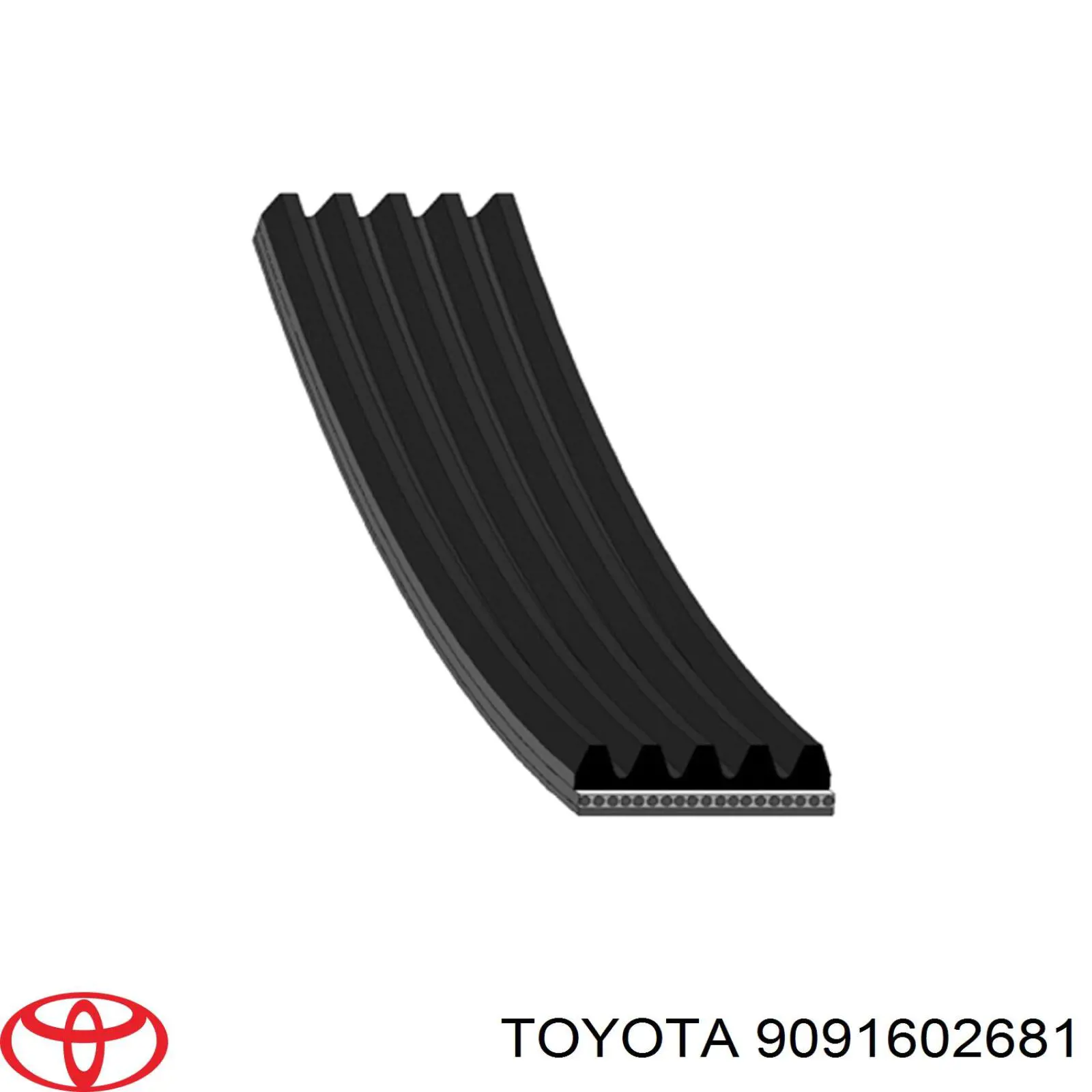 Correa trapezoidal 9091602681 Toyota