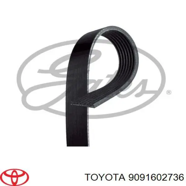 Ремень генератора 9091602736 Toyota