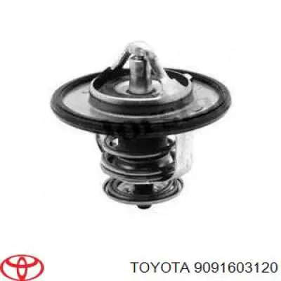 Termostato, refrigerante 9091603120 Toyota