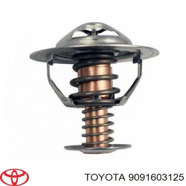 Termostato, refrigerante 9091603125 Toyota/Lexus