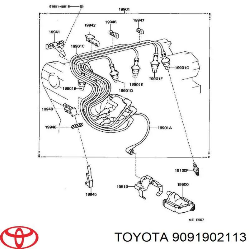 Купить 9091902113 Toyota 