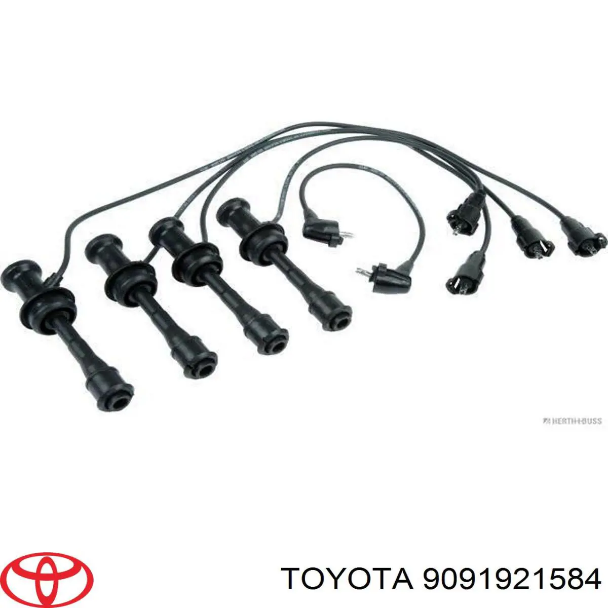  9091921584 Toyota