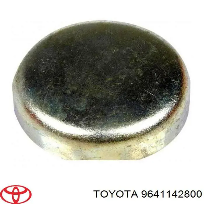 Заглушка ГБЦ/блока цилиндров на Toyota Corolla 