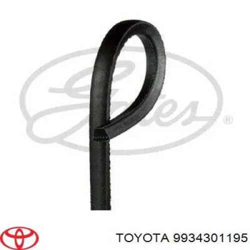 9934301175 Toyota correia dos conjuntos de transmissão